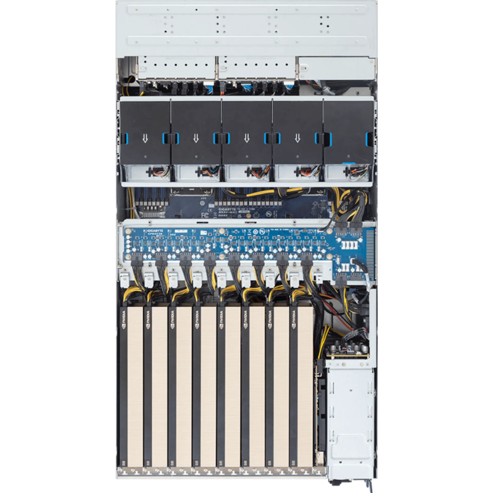 Gigabyte