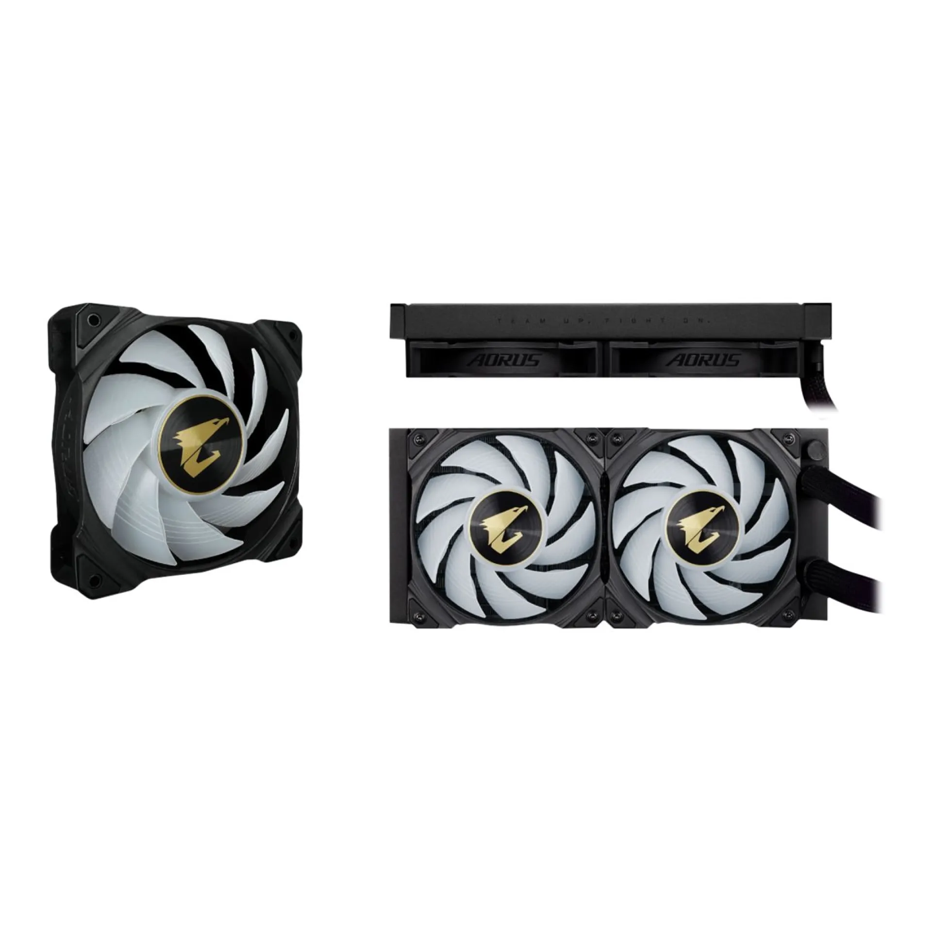 AORUS WATERFORCE X 240