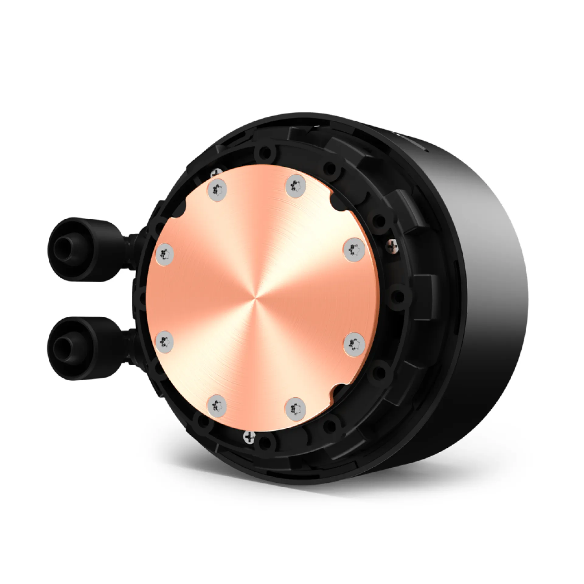 RL-KRZ63-01