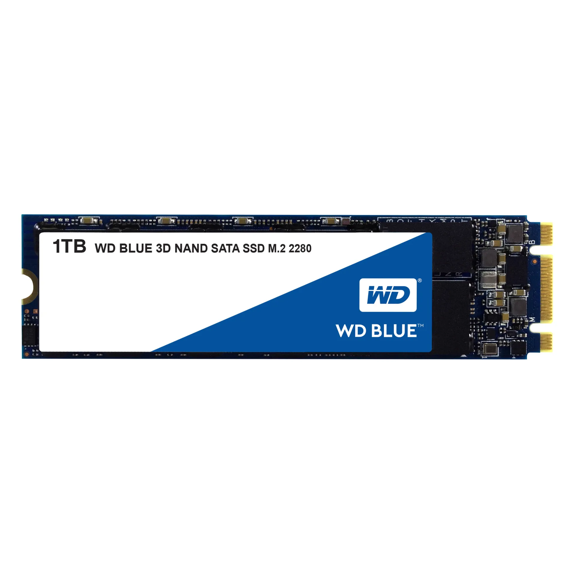 WDS100T2B0B
