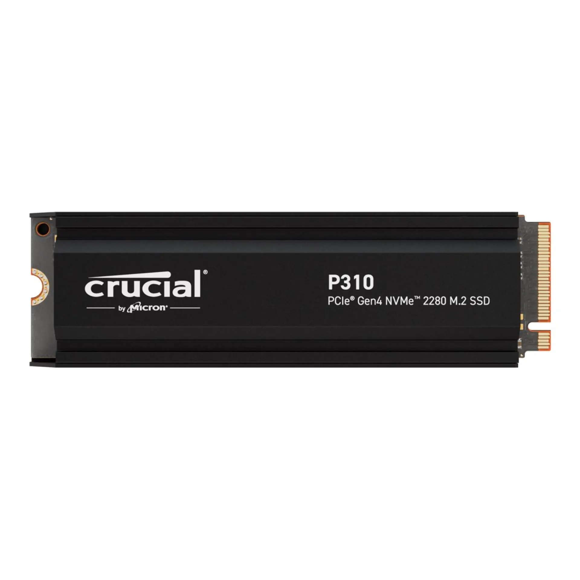 CT4000P310SSD5