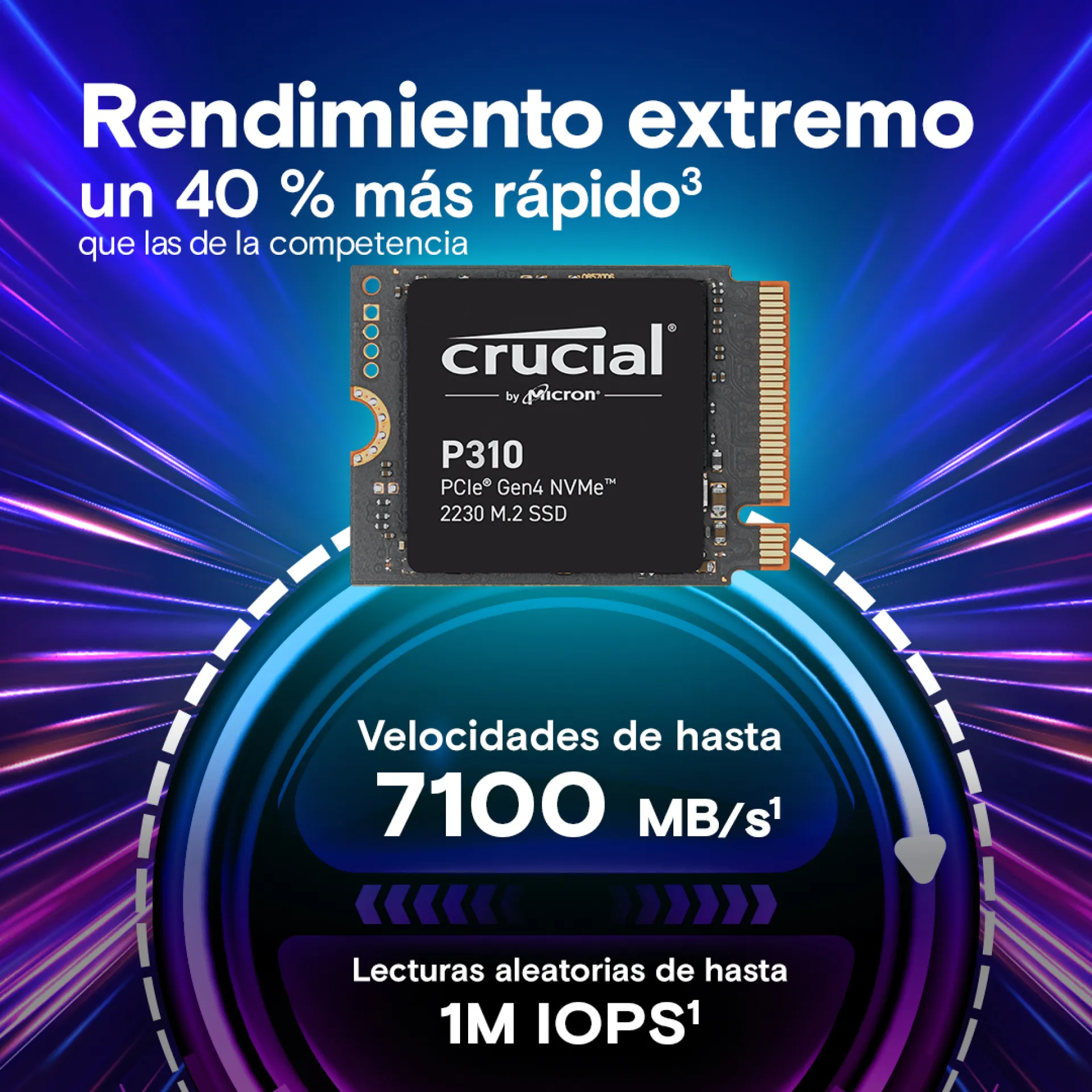 CT1000P310SSD2
