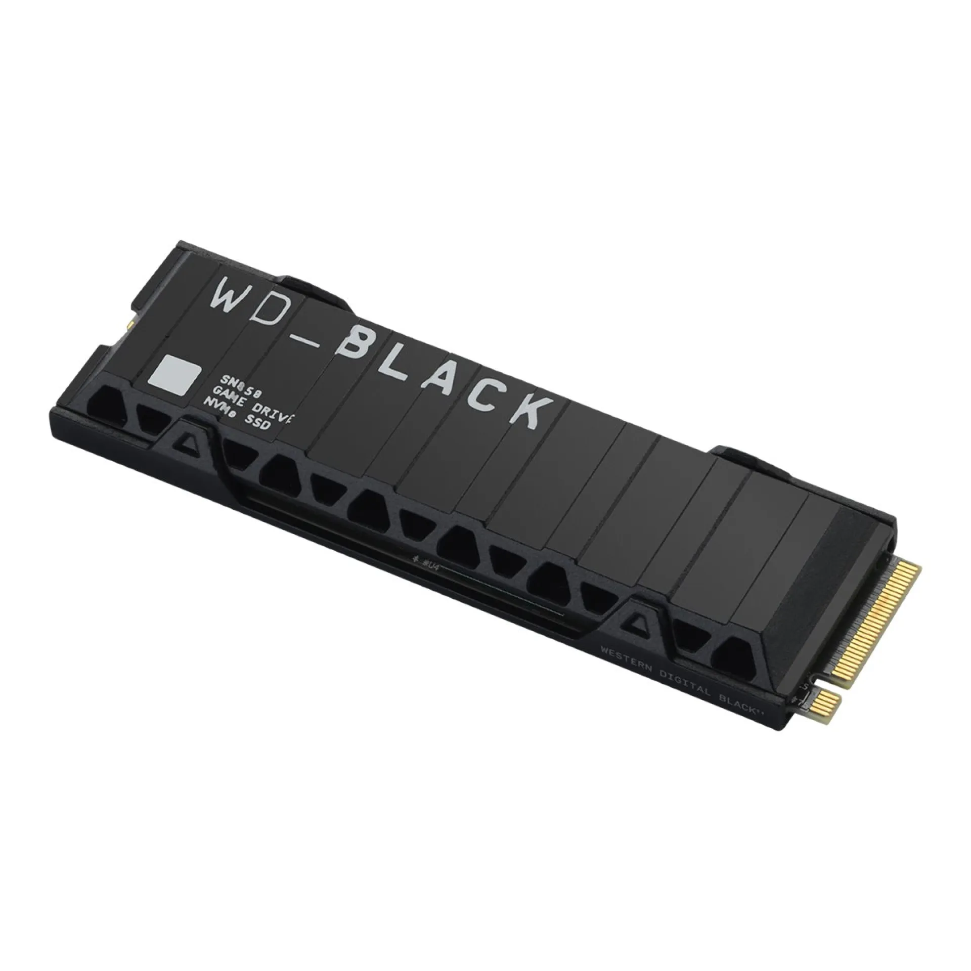 WDS500G1X0E