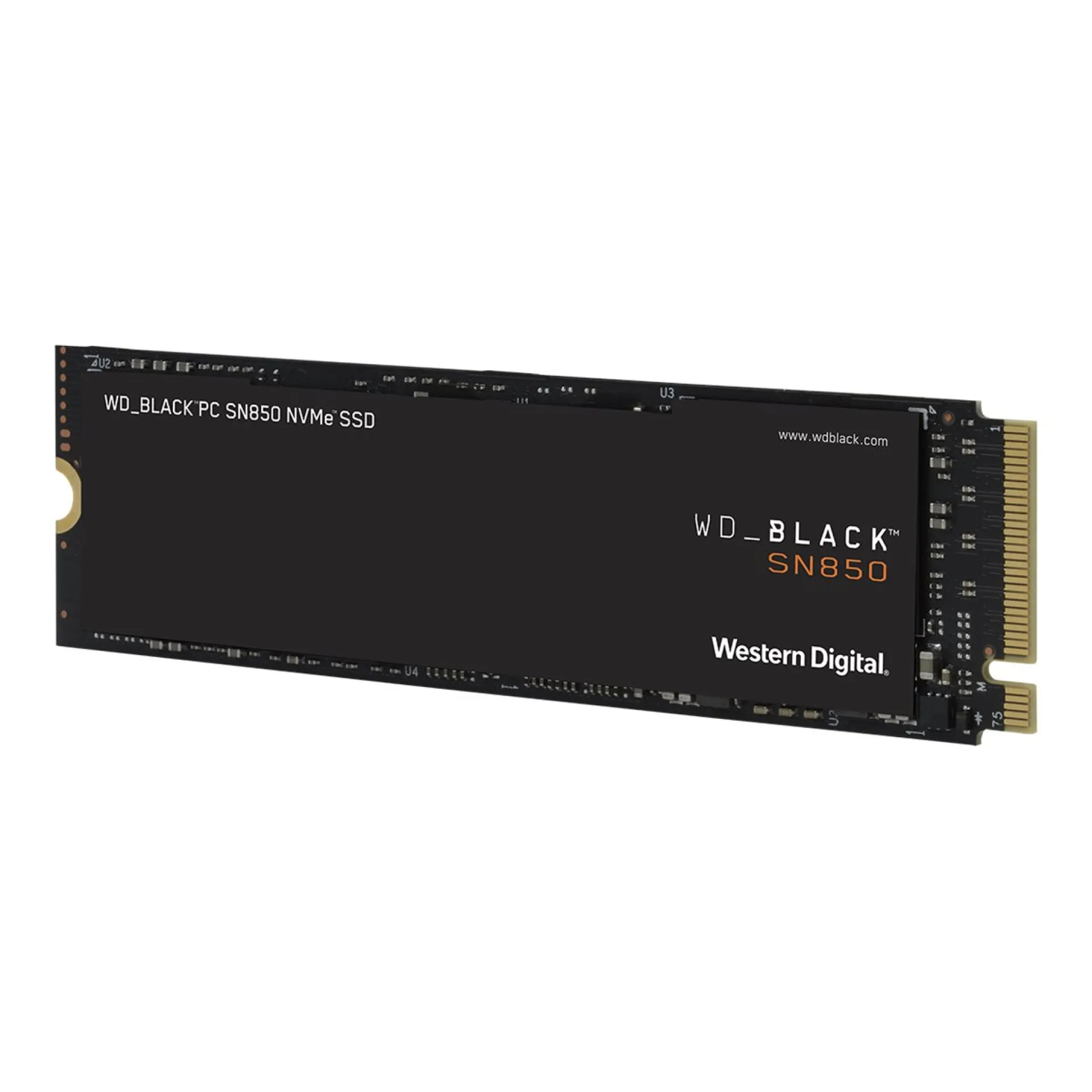 WDS500G1X0E