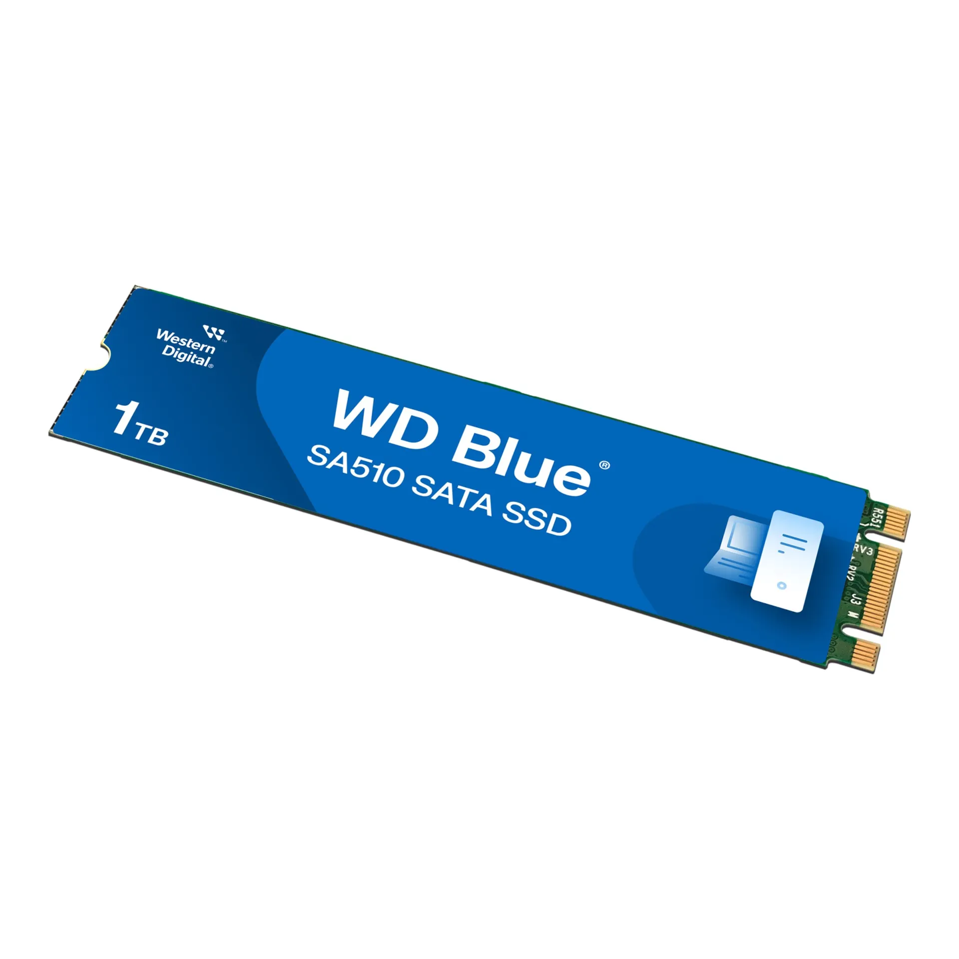 WDS100T3B0B