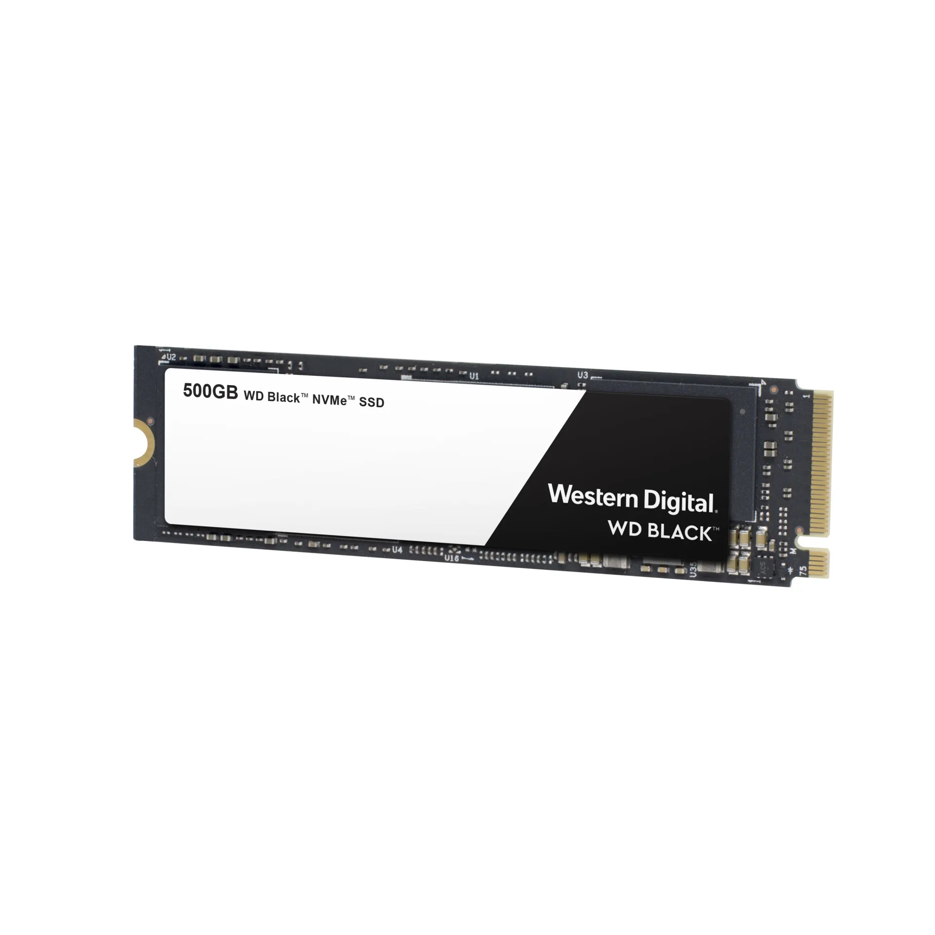 WDS500G2X0C