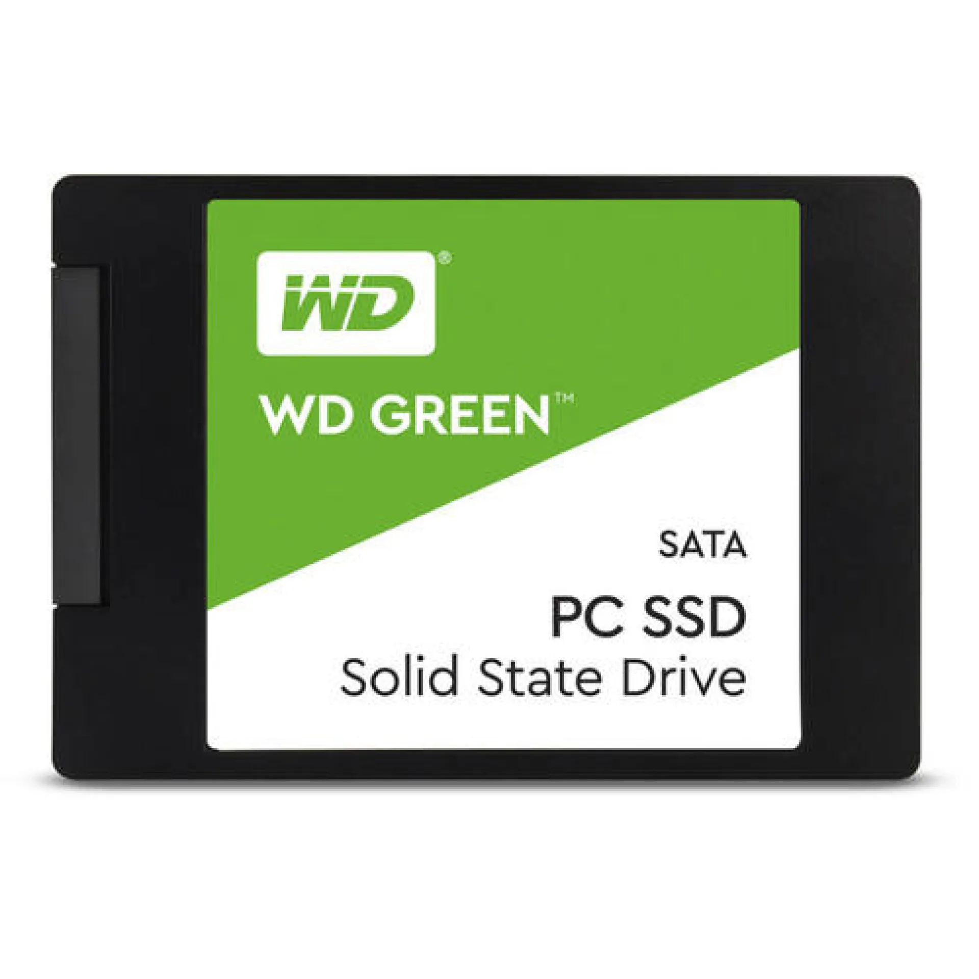 WDS100T2G0A